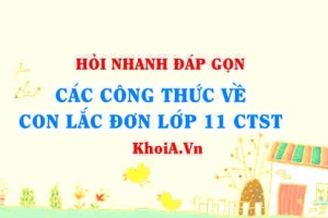 Các công thức về con lắc đơn lớp 11 Chân trời sáng tạo?